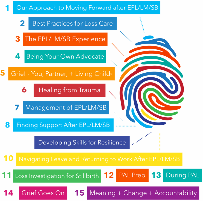 Our 15 Support Modules - Ollie Perinatal